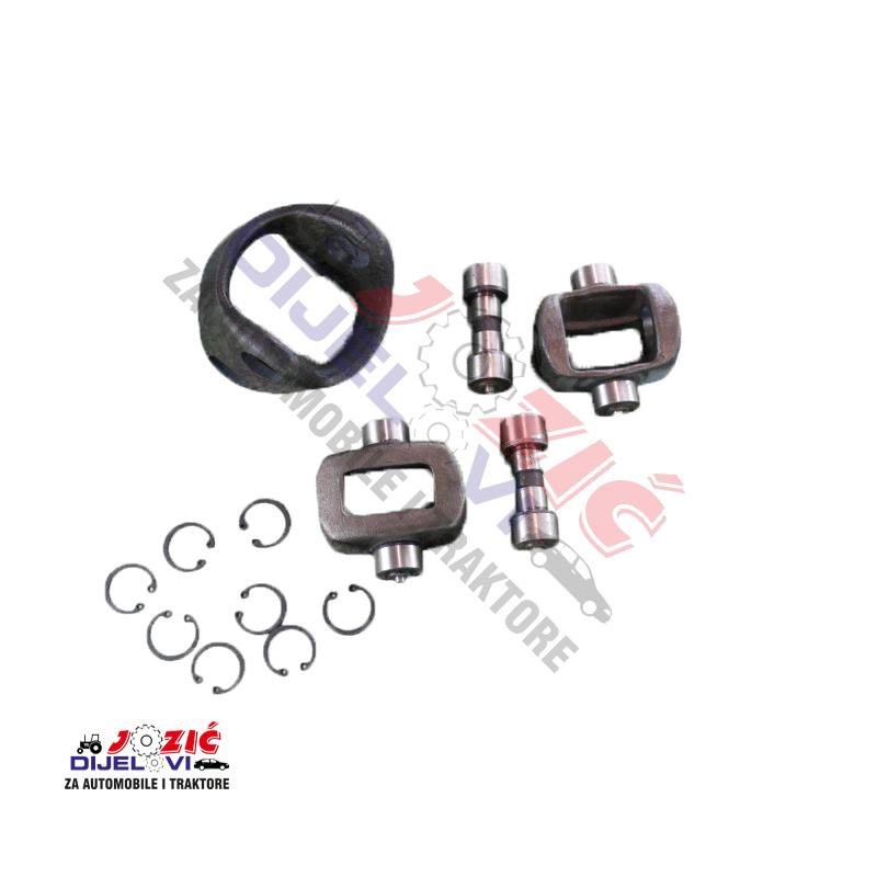 Daisy on the Ohoopee